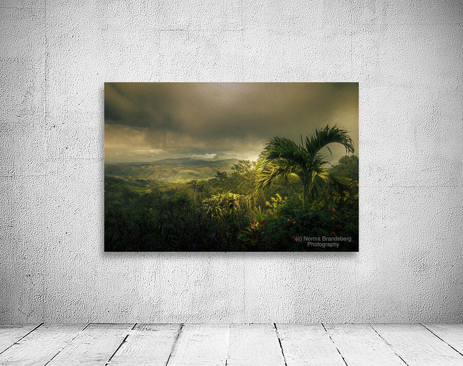 Costa Rica San Ramon Mountain Vista by Norma Brandsberg Photography