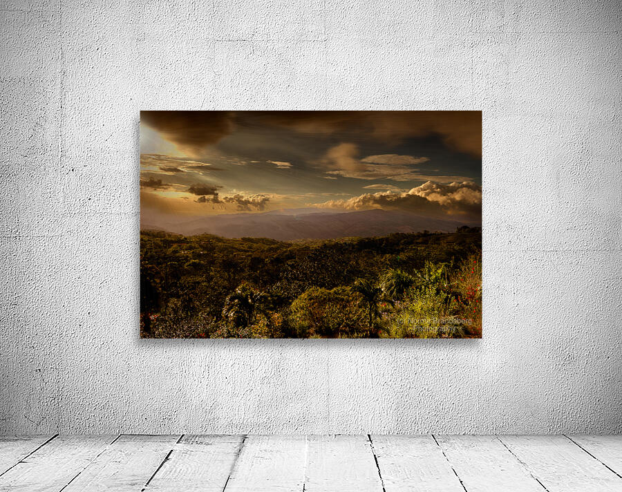 Costa Rica San Ramon Coffee Plantation  Gulf of Nicoya by Norma Brandsberg Photography