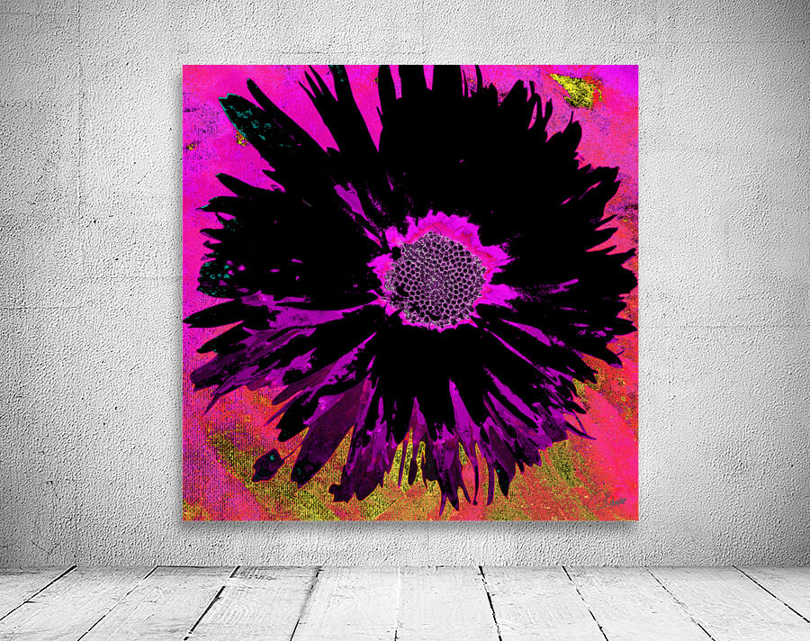 Black Abstract Daisy on a Pink Abstract Background Wall Preview
