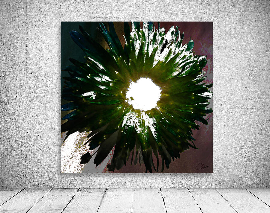 Daisy Light Centre on Darker Abstract Background Wall Preview