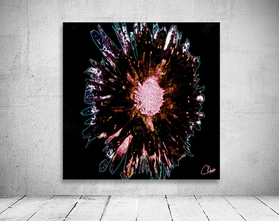 Dark Burgundy Daisy Flower on a Dark Abstract Background Wall Preview