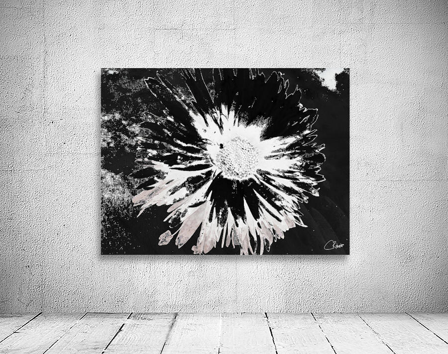Abstract Monochrome Daisy Flower on an Abstract Monochrome Background Wall Preview
