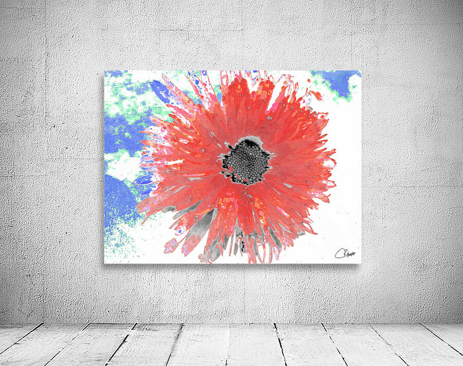 Abstract Red Daisy Flower on a Coloured Abstract Background Wall Preview