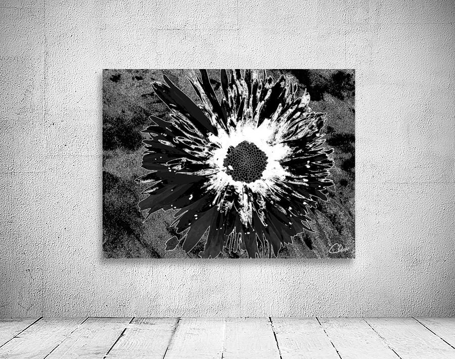 Darkly Monochrome Daisy Flower on a Dark Abstract Background Wall Preview