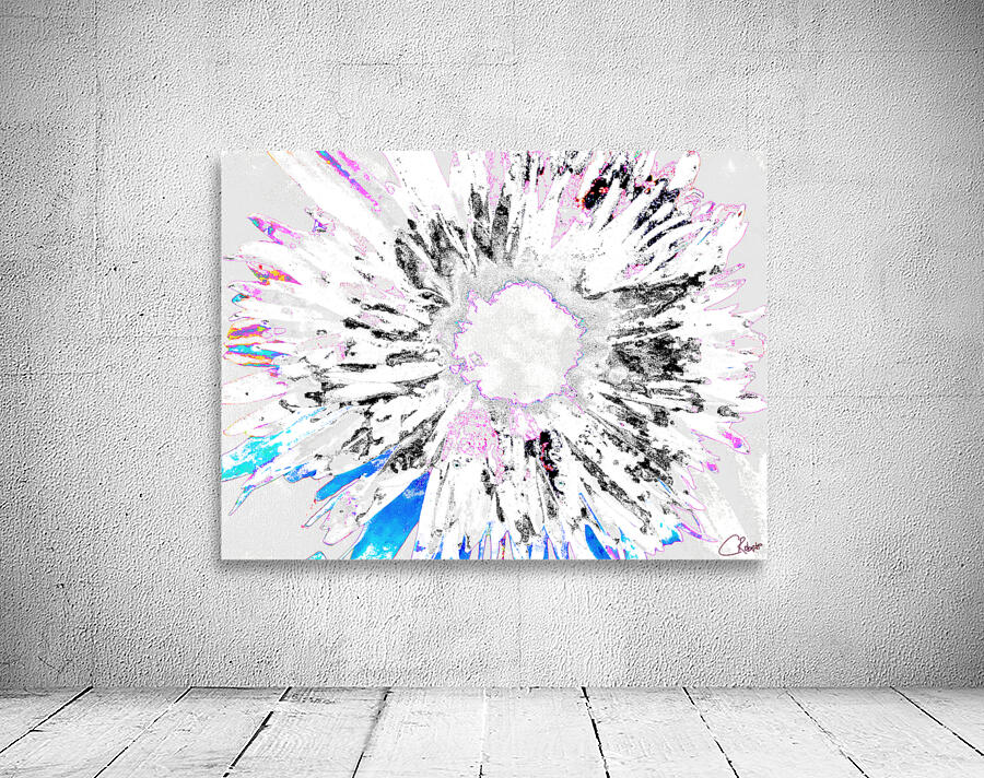 Paler Colour Splash Daisy Wall Preview