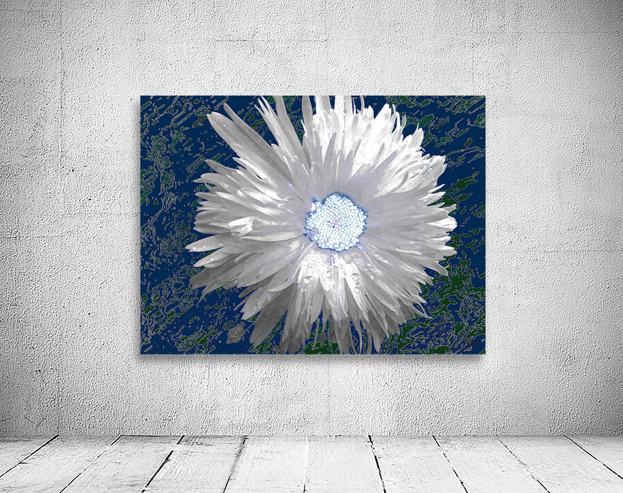 White Daisy Flower with Light Turquoise Centre on an Abstract Background Wall Preview
