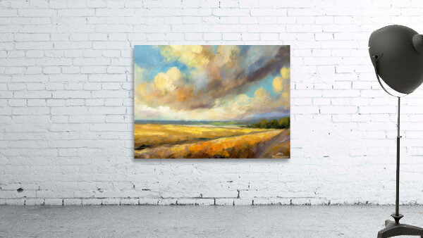 Beautiful Prairie Skies Wall Preview