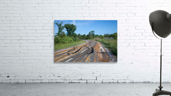 Somebody Seems Happy Wall Preview