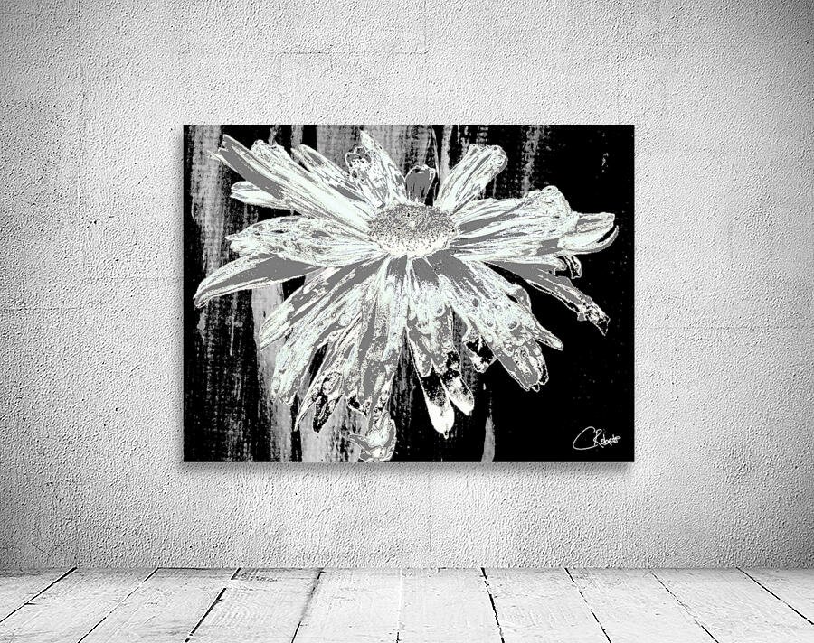  Paler Mint Distressed Daisy Flower on a Dark Abstract Background Wall Preview