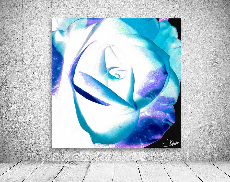 Abstract Multicoloured Rose on a Dark Abstract Background  Wall Preview