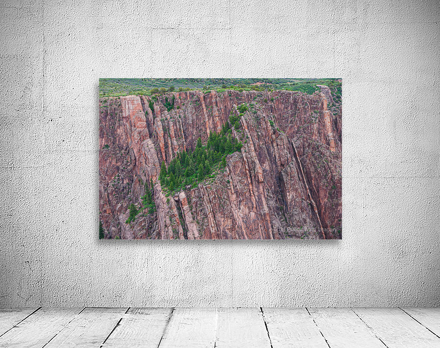 Rock Wall Forest by Prairie Wind Imagery
