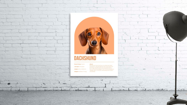 Dachshund Informative Poster Wall Preview