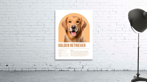 Golden Retriever Informative Poster Wall Preview