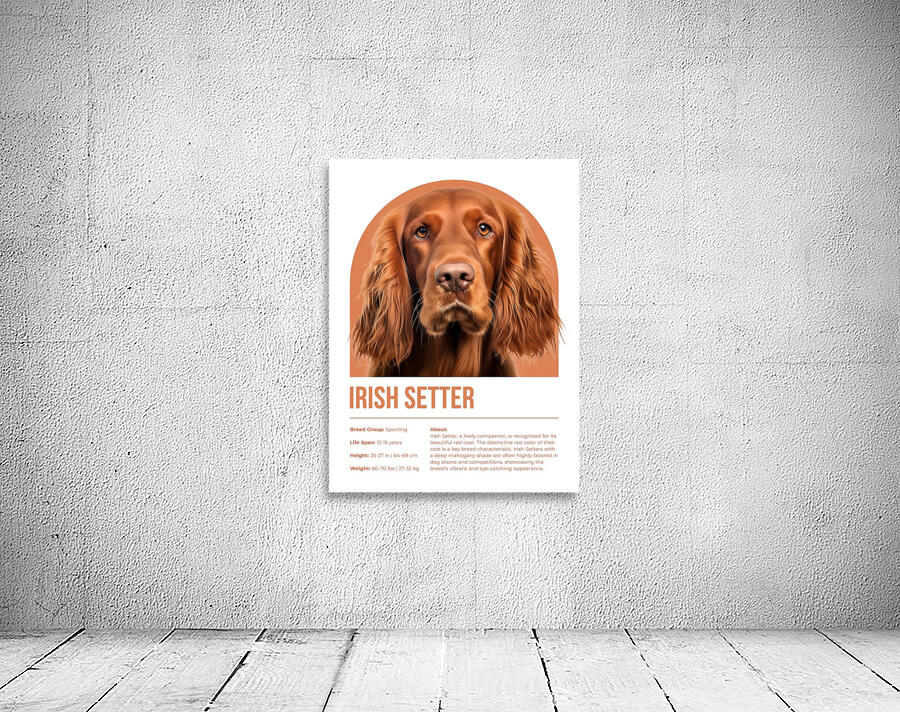 Irish Setter Informative Poster Wall Preview