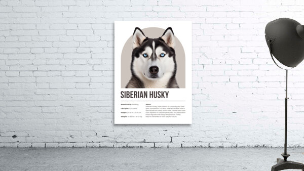 Siberian Husky Informative Poster Wall Preview