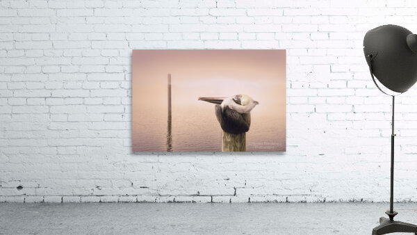 Pensacola Florida Pelican in Fog Wall Preview