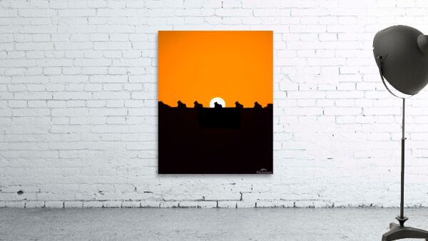 Setting Sun Meets Nandi | Silhouette | Temples of INDIA Wall Preview