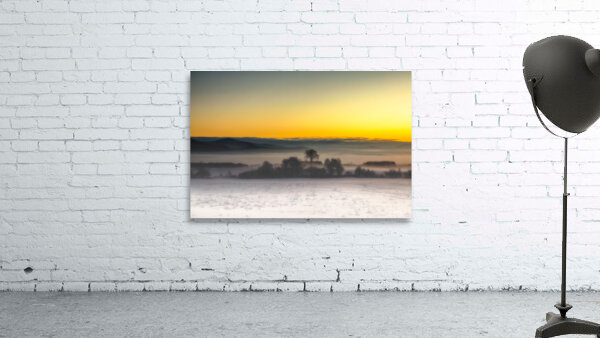 Le viel orme by ARTEFIA