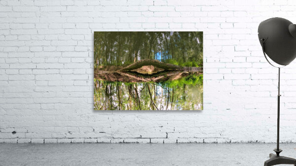 Eye Of Gaia Wall Preview