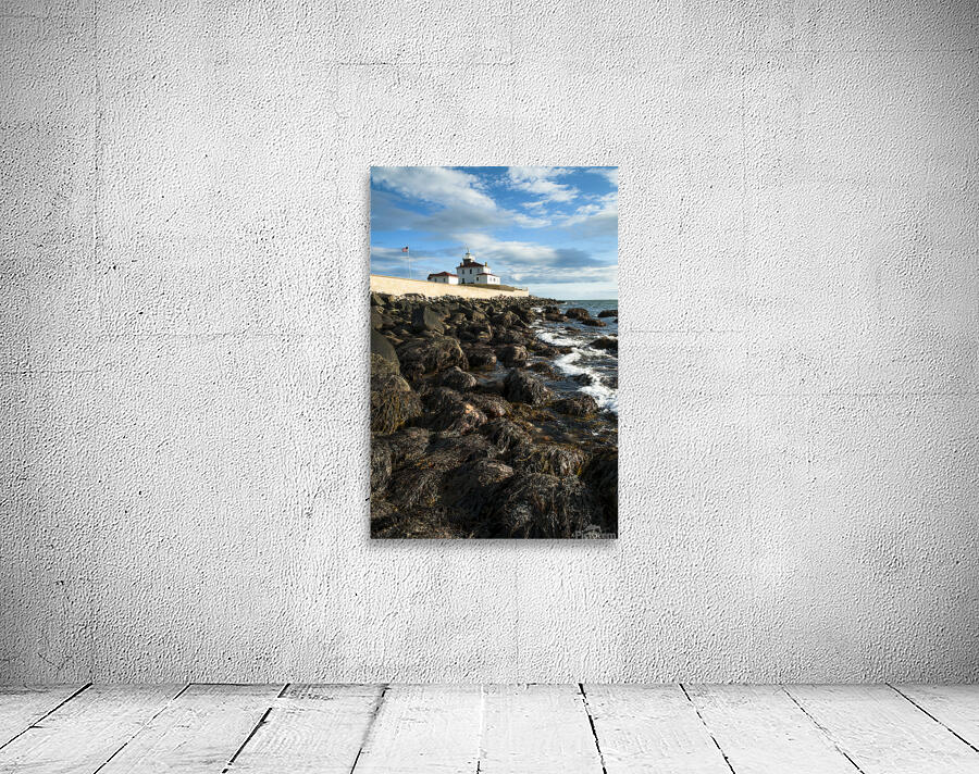 Seaweed Covered Rocky Shore at Watch Hill Light At Low Tide in Rhode Island Wall Preview