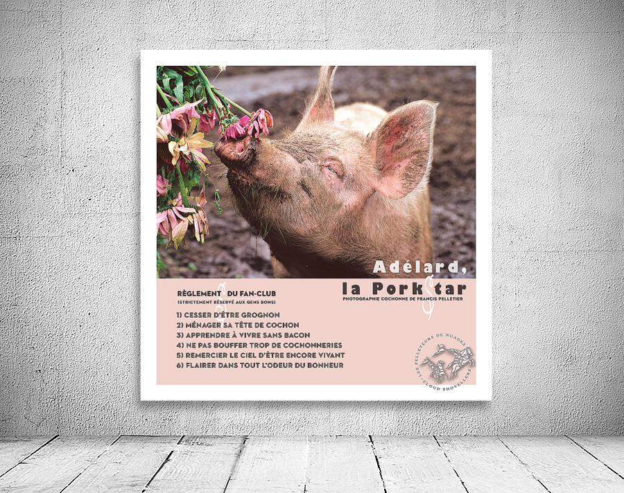 ADELARD LA PORKSTAR by Francis Pelletier