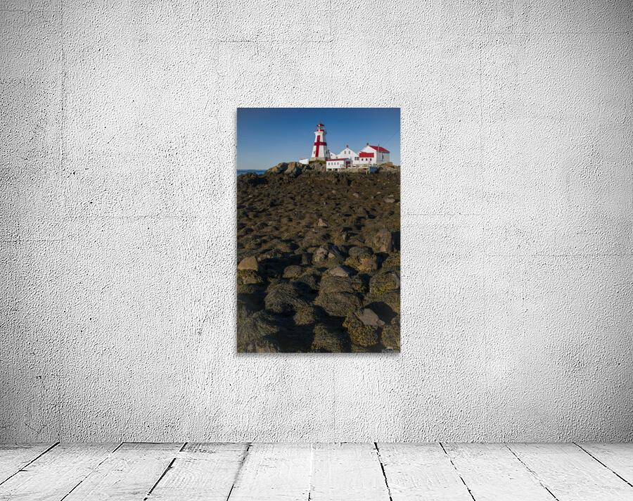 Head Harbor Lighthouse Surrounded by Rocks Covered in Seaweed at Low tide by Allan Wood