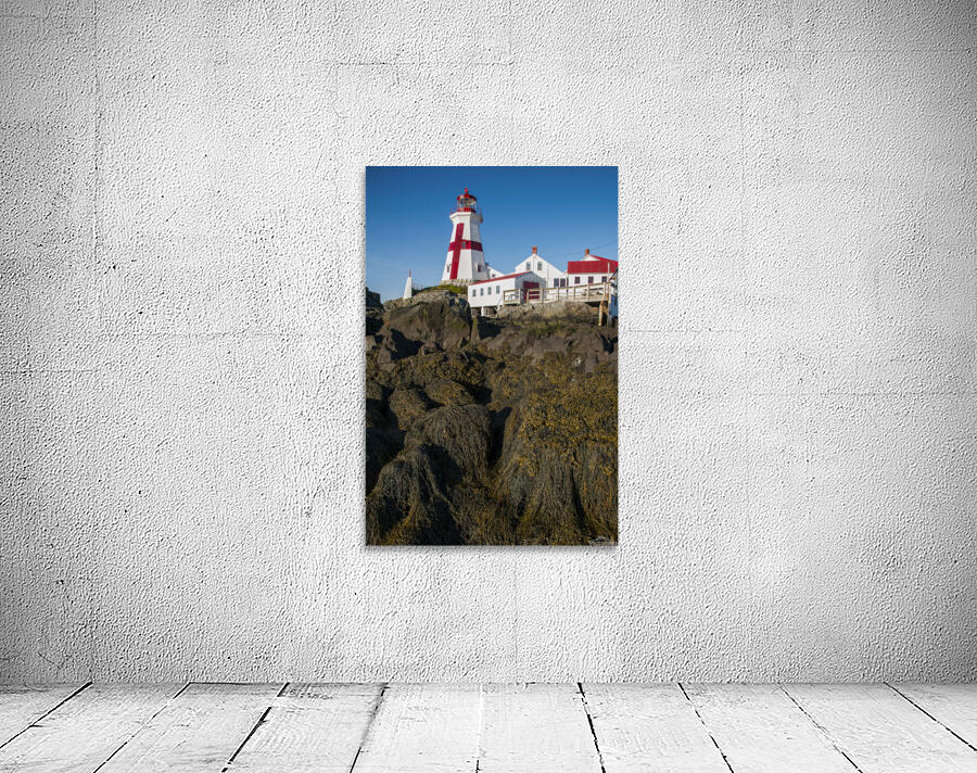 Seaweed Covered Rocks Around  Head Harbor Lighthouse in Canada at Low Tide by Allan Wood