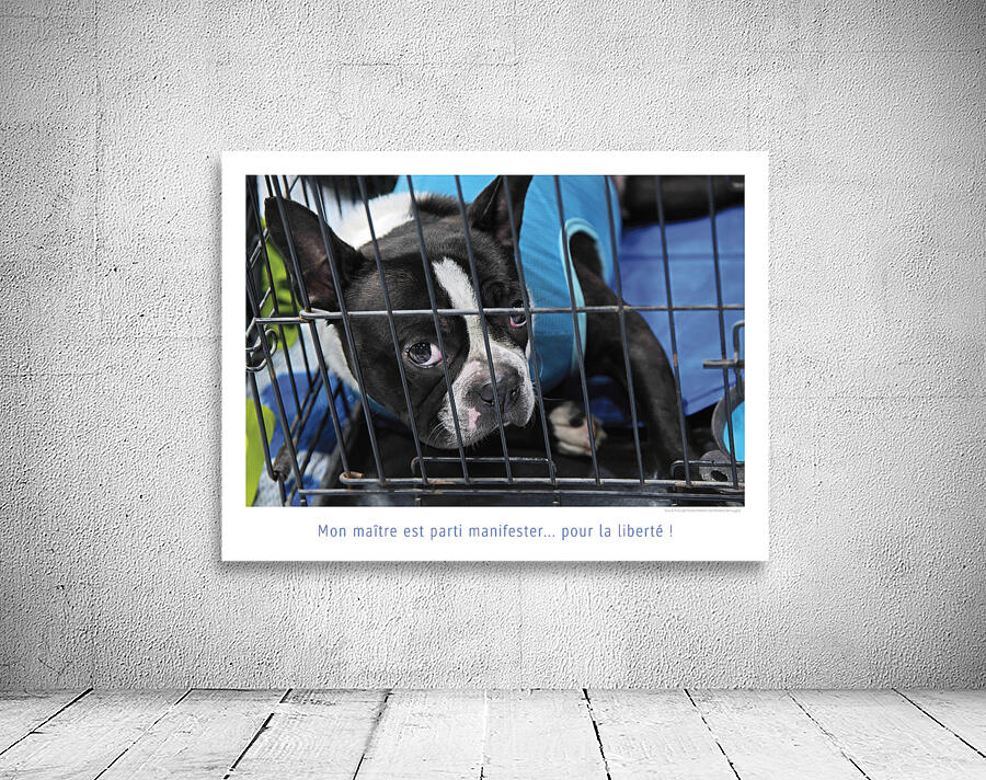 CACHOT Aperçu sur mur