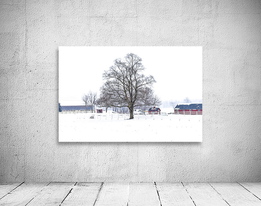 G02 Snow Day on the Farm Wall Preview