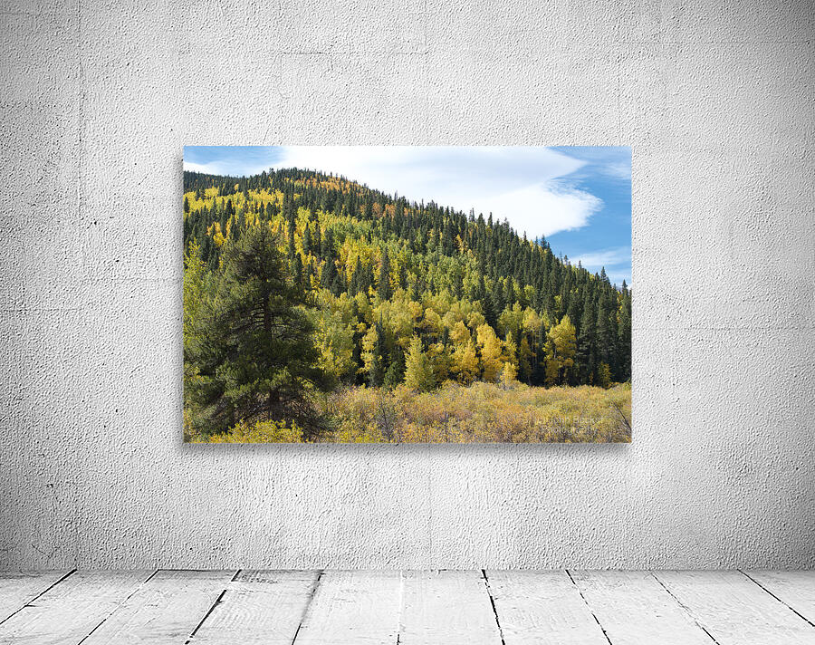 Fall Colors 3 Wall Preview