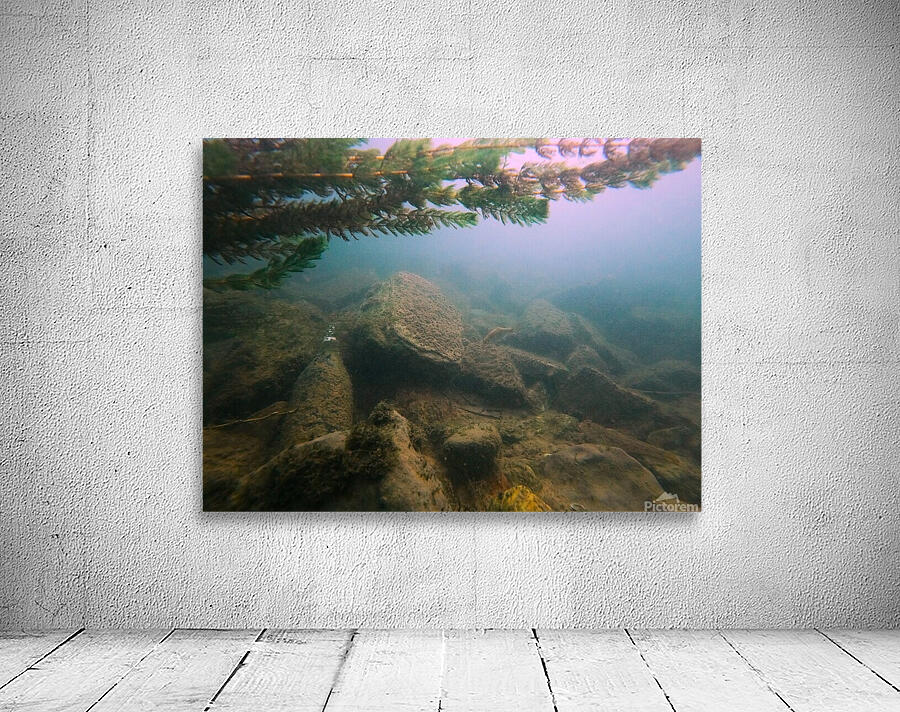 Crouching Whitefish Hidden Bottle Wall Preview