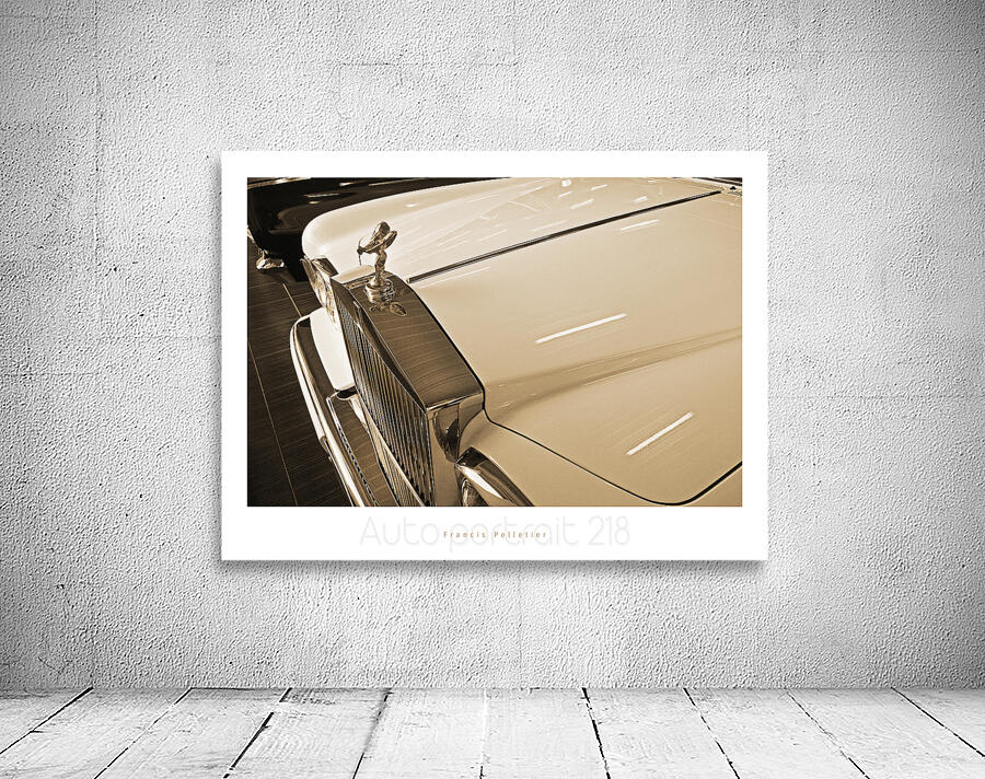 AUTO PORTRAIT 218 Aperçu sur mur