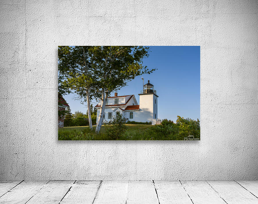 Birch Trees by Fort Point Lighthouse in Midcoast Maine Wall Preview