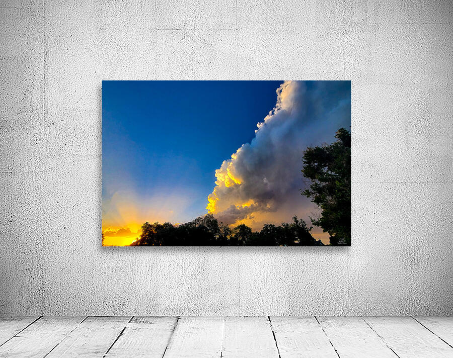 Mid Summer Nights Dream Wall Preview