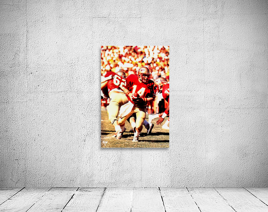 Danny McManus Florida State Art Wall Preview