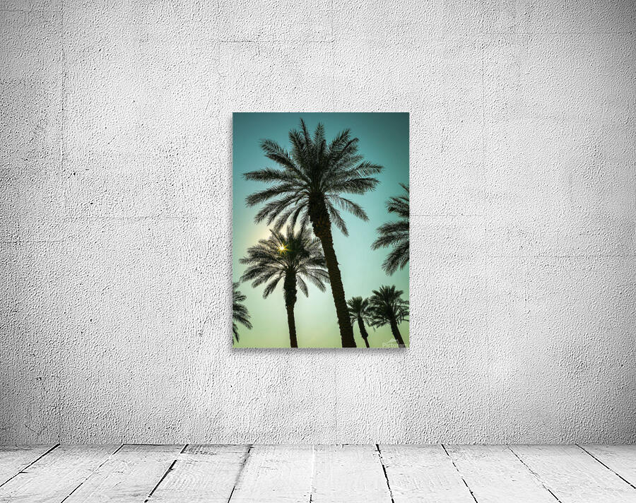 Tall Palms by Assaf Frank