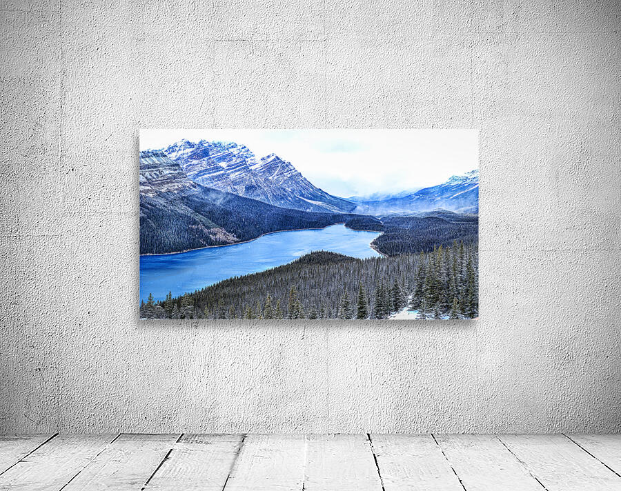 Peyto Lake Winter veil: A Canvas of Dark Evergreens and Snowy Serenity Wall Preview