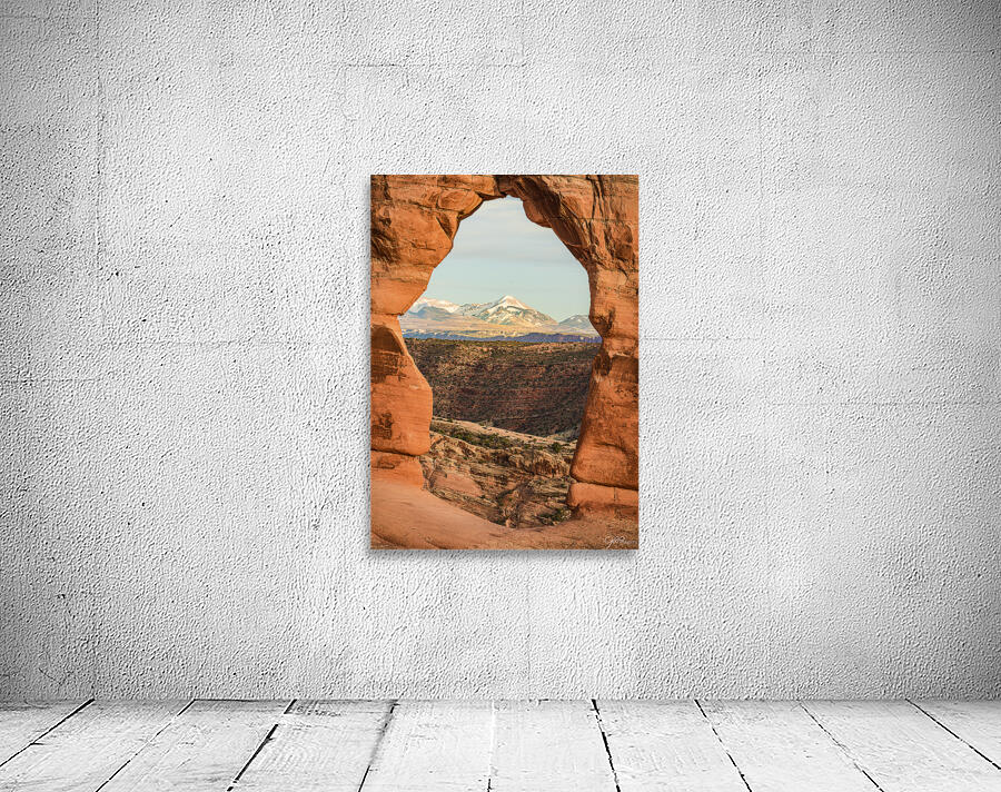 Through Delicate Arch Wall Preview