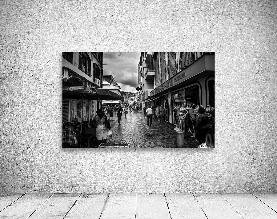 IMG_4616 Wall Preview