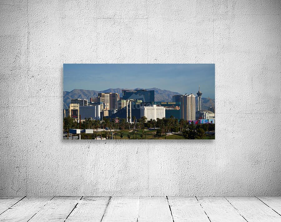 Las Vegas Skyline 7R308449 by Sanjeev Singhal