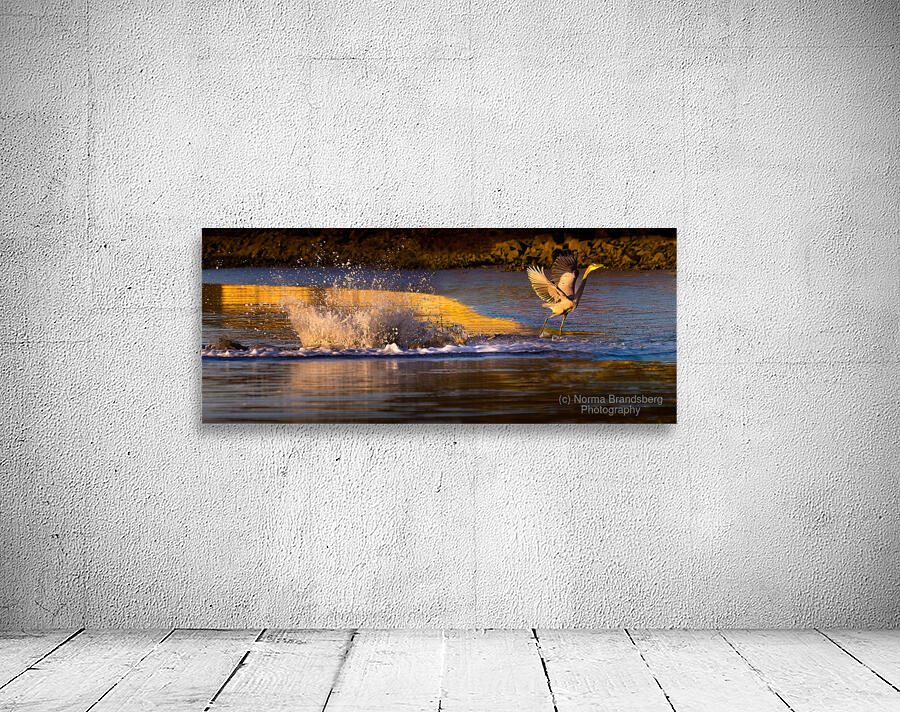 Surprise Porpoise Heron Attack Wall Preview