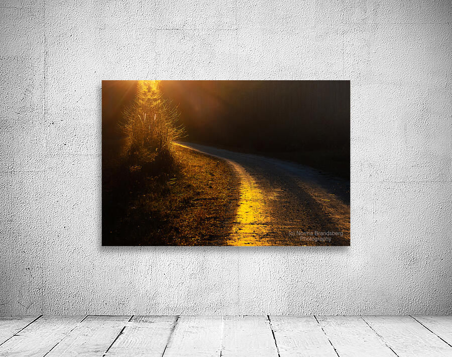 Road to Dreams Wall Preview