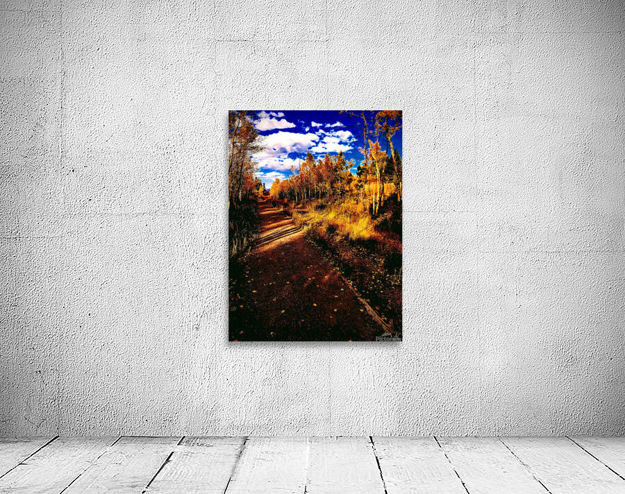 Pumpkin Path by Ell Cee
