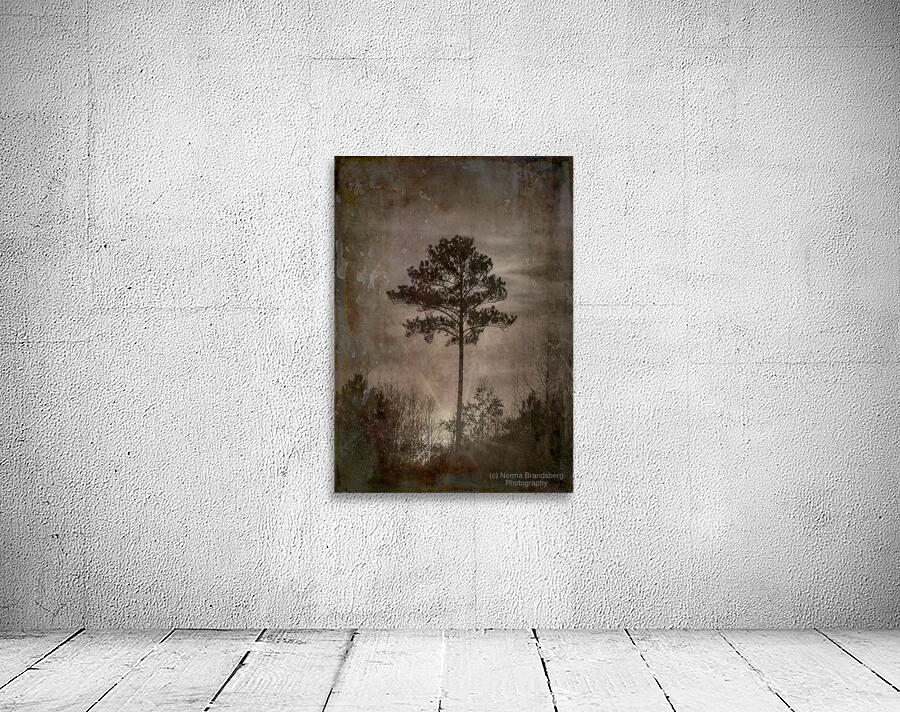 One Antique Textured Tree Wall Preview