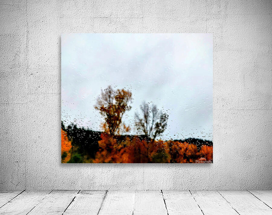 Roadside Fall Wall Preview