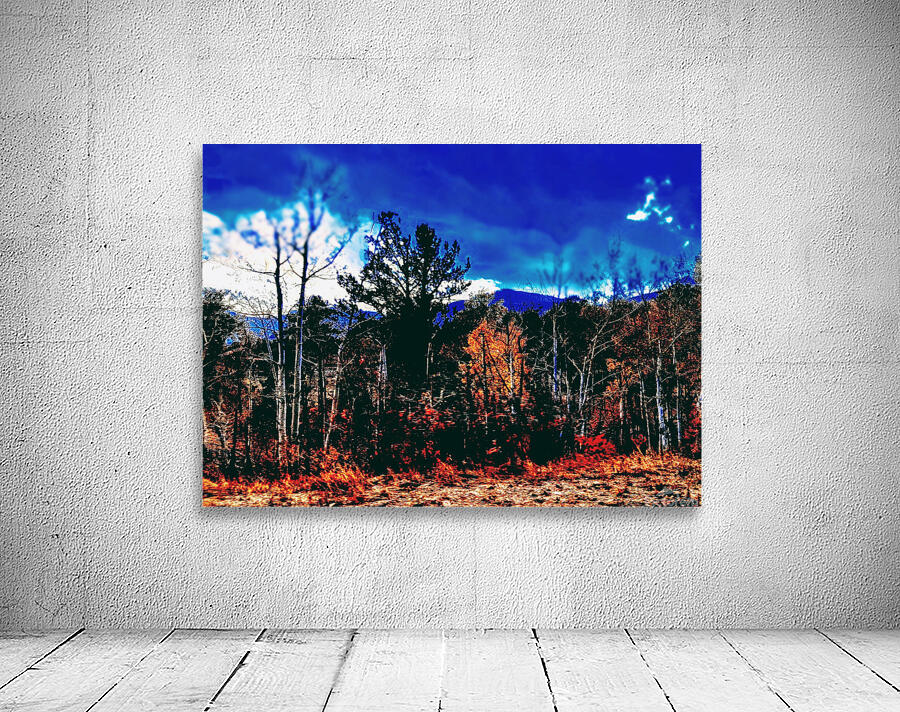 The Secret Forest Wall Preview