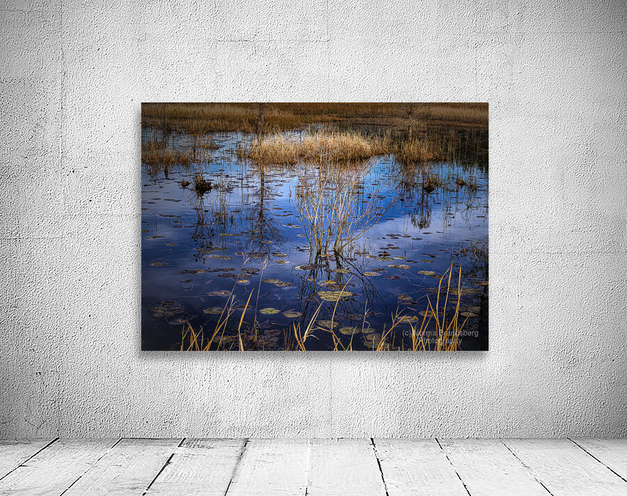 Low Country Marsh Sky Reflections Wall Preview