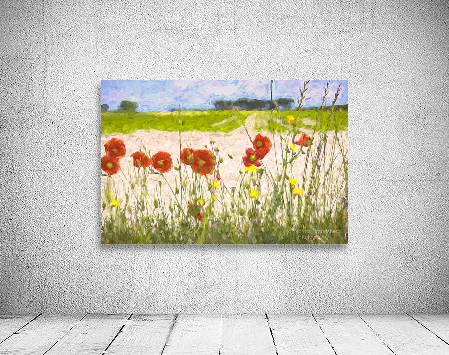 Artistic French Roadside Poppies Wall Preview