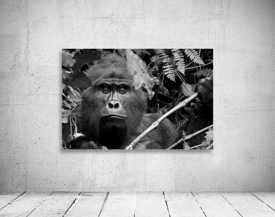 Bahati The Great Wall Preview