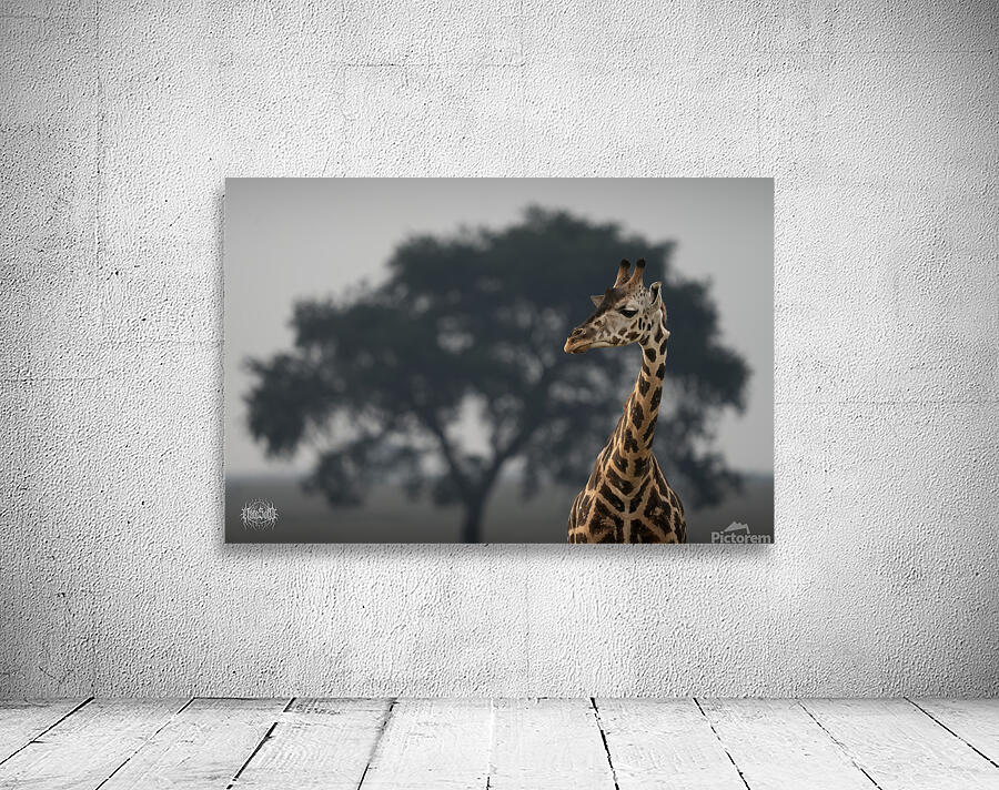 Leopard Moose Camel Wall Preview